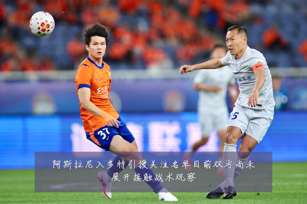 阿斯拉尼入多特引援关注名单目前双方尚未展开接触战术观察