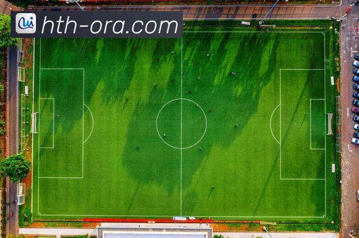 华体会体育投注全面解析及最新赛事资讯与投注技巧分享